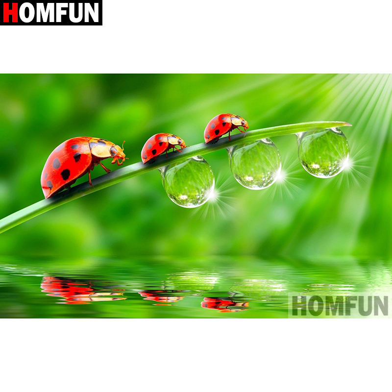 HOMFUN الفن 5D Diy بها بنفسك ا - مراجعة Embroidery Lady Bug وسعره