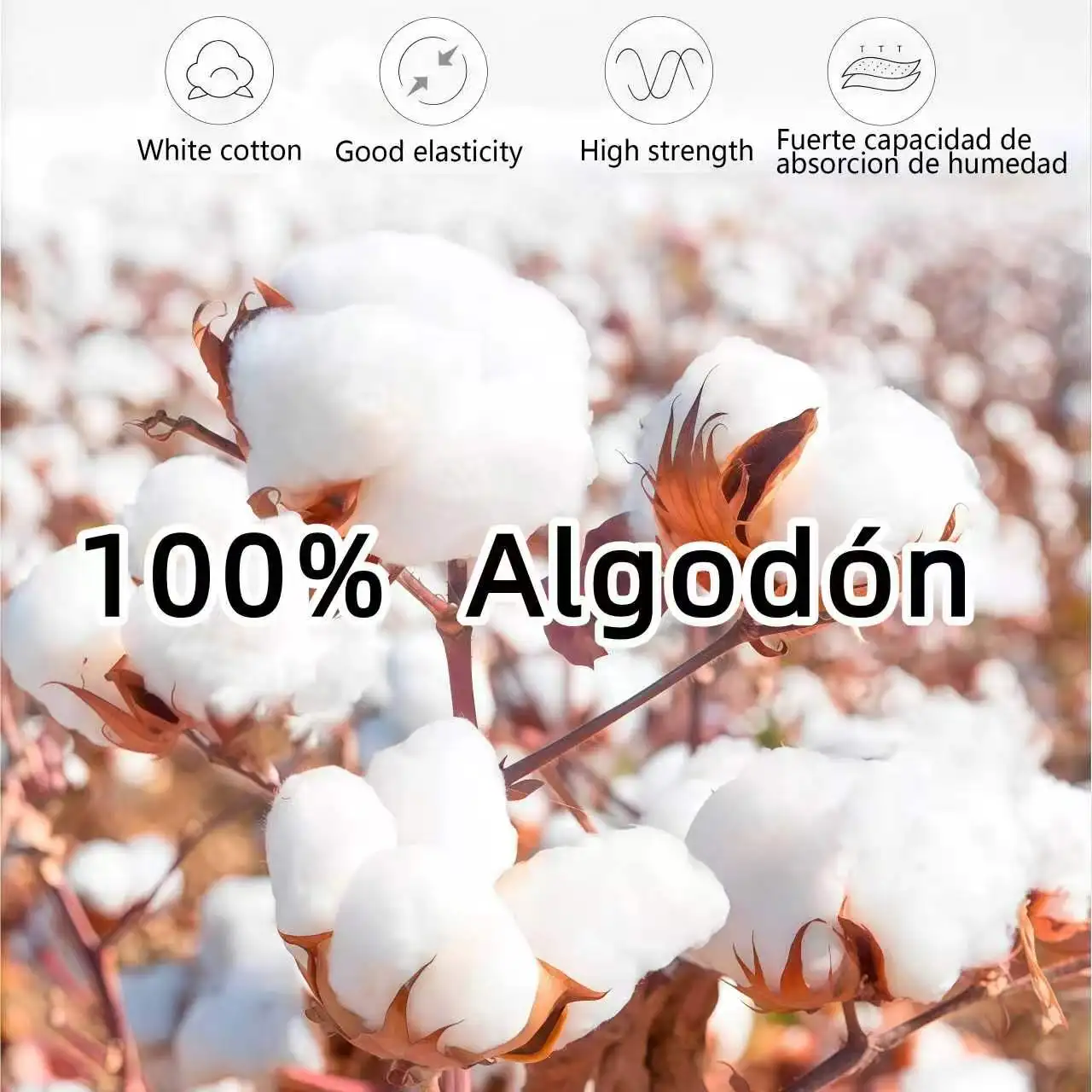 تي شيرت قطني ثقيل لحفل التخرج  - مراجعة Embroidery Cotton Shirt وسعره
